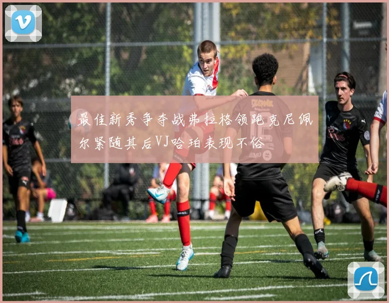 最佳新秀争夺战弗拉格领跑克尼佩尔紧随其后VJ哈珀表现不俗